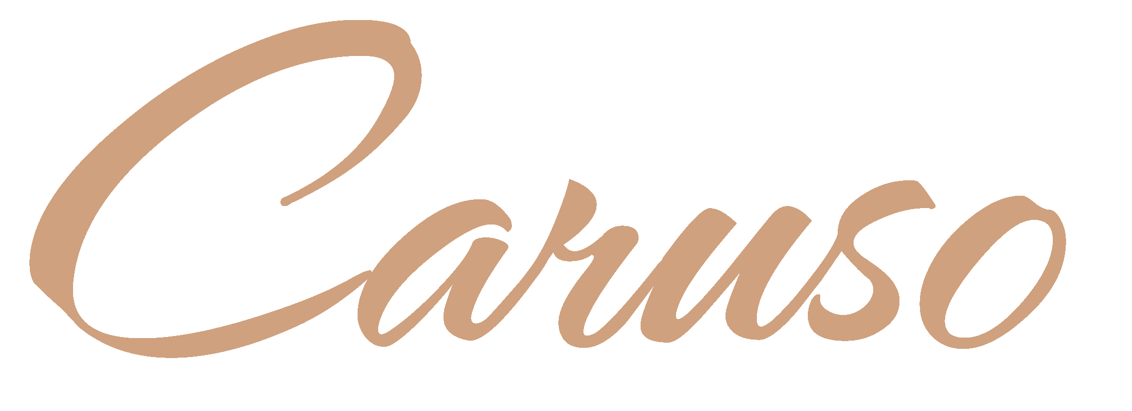 caruso-bonaduz.ch